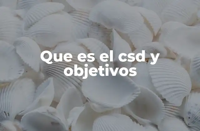 Que es el Csd y Objetivos
