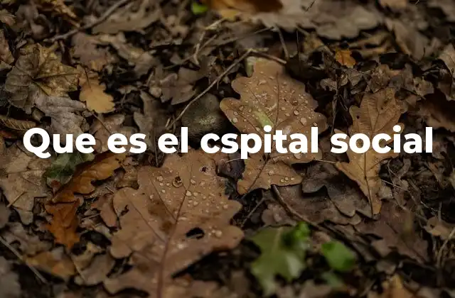 Que es el Cspital Social