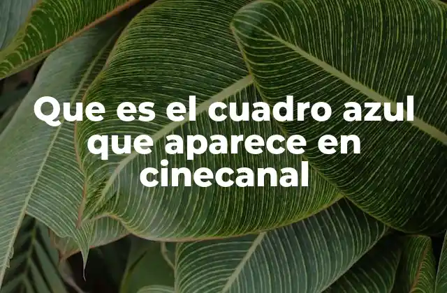 Que es el Cuadro Azul que Aparece en Cinecanal