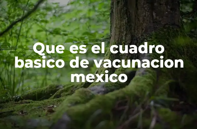 Que es el Cuadro Basico de Vacunacion Mexico