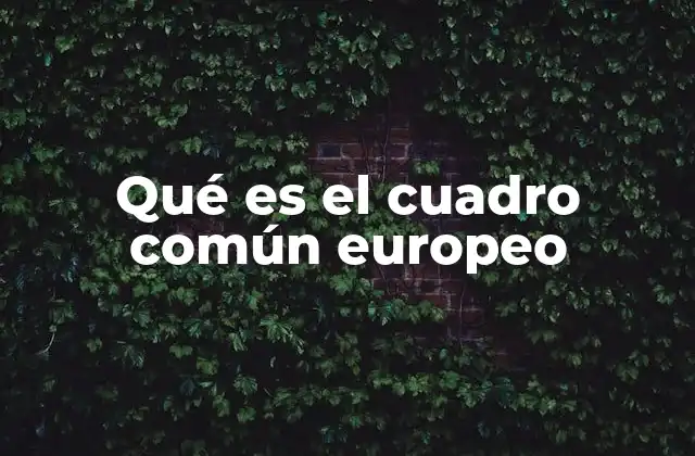 Qué es el Cuadro Común Europeo