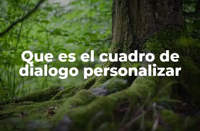 Que es el Cuadro de Dialogo Personalizar