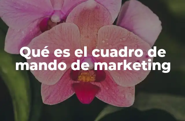 Qué es el Cuadro de Mando de Marketing 2 La importancia de visualizar los datos de marketing