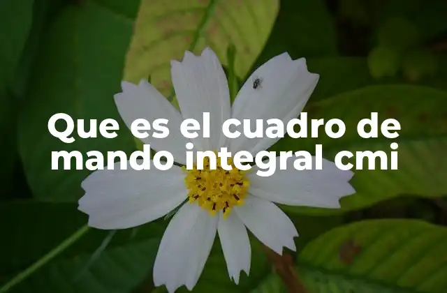 Que es el Cuadro de Mando Integral Cmi