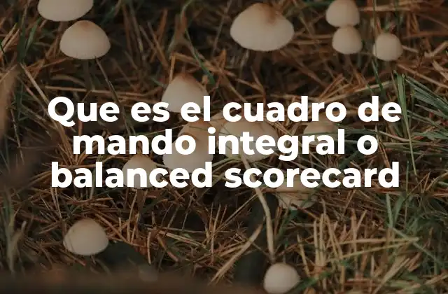 Que es el Cuadro de Mando Integral o Balanced Scorecard