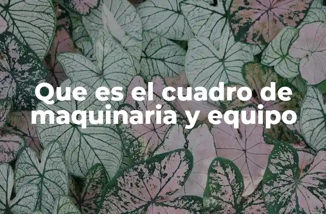 Que es el Cuadro de Maquinaria y Equipo 2 La importancia de tener un registro estructurado de activos