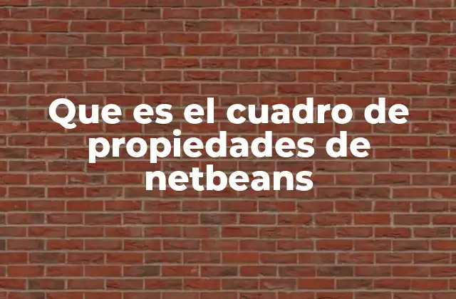 El papel del cuadro de propiedades en el desarrollo visual