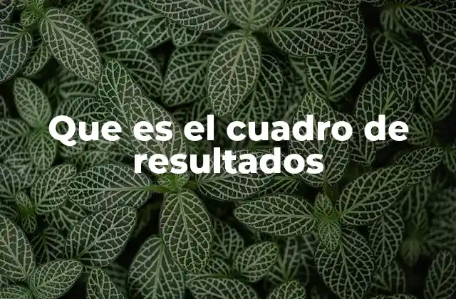 Que es el Cuadro de Resultados