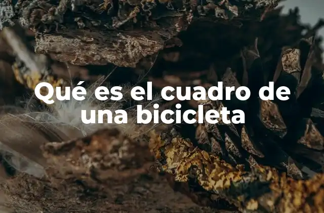 Qué es el Cuadro de una Bicicleta