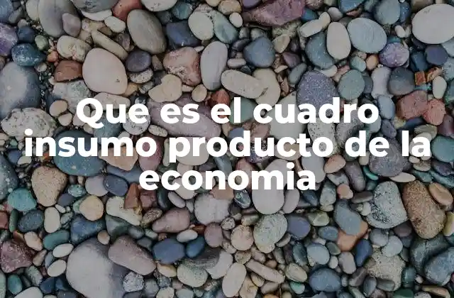 Que es el Cuadro Insumo Producto de la Economia