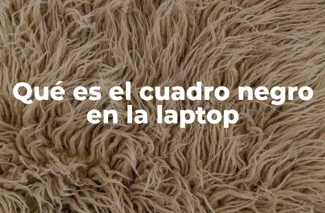 Qué es el Cuadro Negro en la Laptop