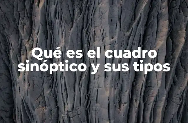 Qué es el Cuadro Sinóptico y Sus Tipos