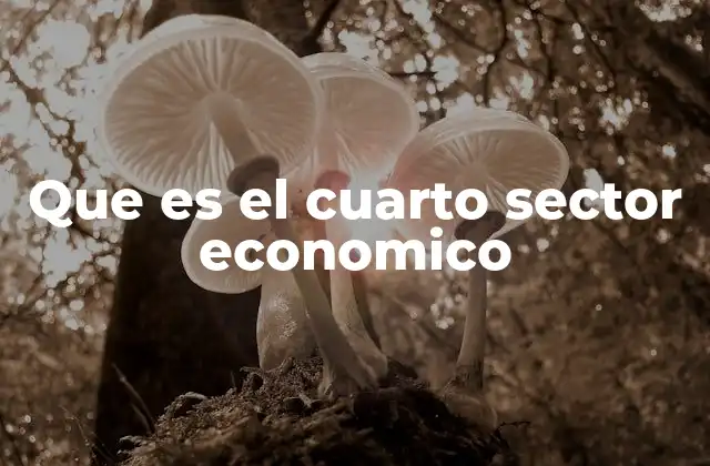 Que es el Cuarto Sector Economico