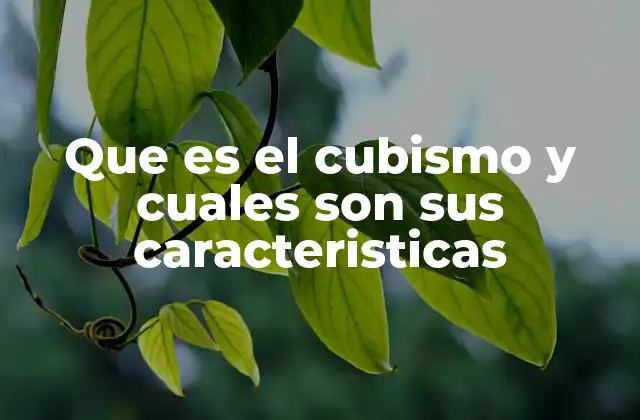 Que es el Cubismo y Cuales Son Sus Caracteristicas