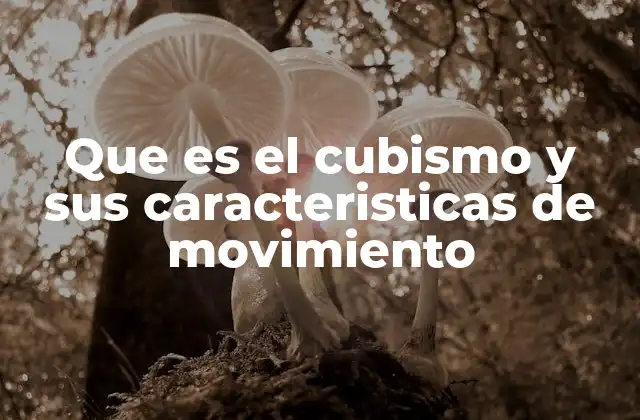 Que es el Cubismo y Sus Caracteristicas de Movimiento