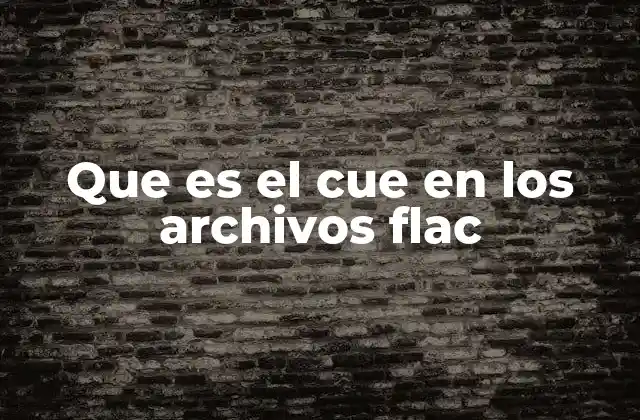 Que es el Cue en los Archivos Flac
