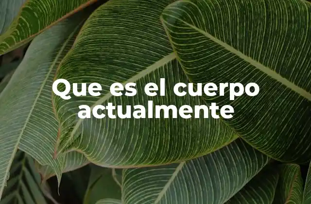 Que es el Cuerpo Actualmente