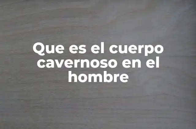 Que es el Cuerpo Cavernoso en el Hombre 2 La función del tejido eréctil en la respuesta sexual masculina