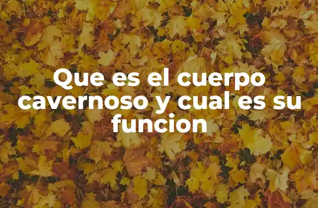 Que es el Cuerpo Cavernoso y Cual es Su Funcion 2 El papel del cuerpo cavernoso en la salud sexual masculina