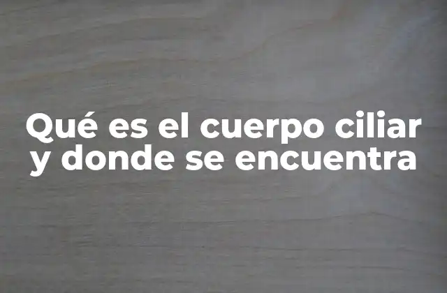 Qué es el Cuerpo Ciliar y Donde Se Encuentra