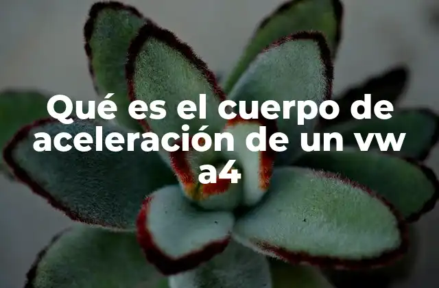 Qué es el Cuerpo de Aceleración de un Vw A4