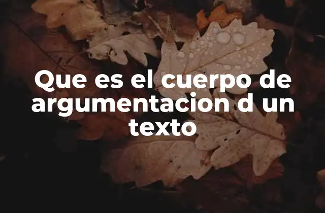 Que es el Cuerpo de Argumentacion D un Texto