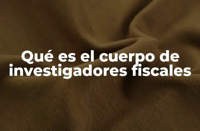 Qué es el Cuerpo de Investigadores Fiscales 2 La importancia del cuerpo de investigadores fiscales en el sistema tributario