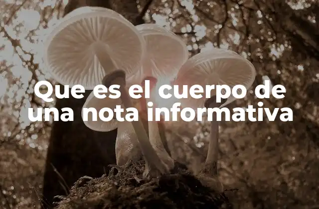 Que es el Cuerpo de una Nota Informativa