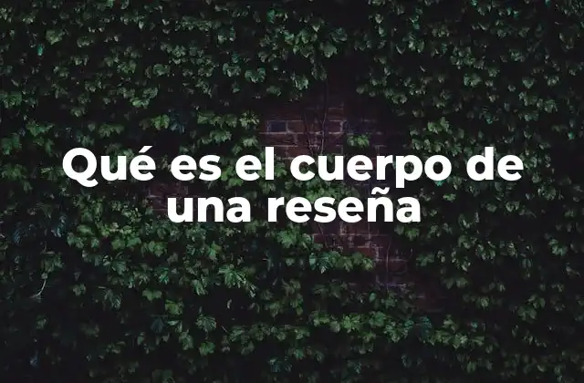 Qué es el Cuerpo de una Reseña