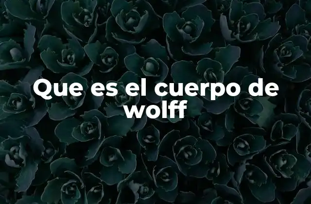 Que es el Cuerpo de Wolff 2 El papel del cuerpo de Wolff en el desarrollo embrionario