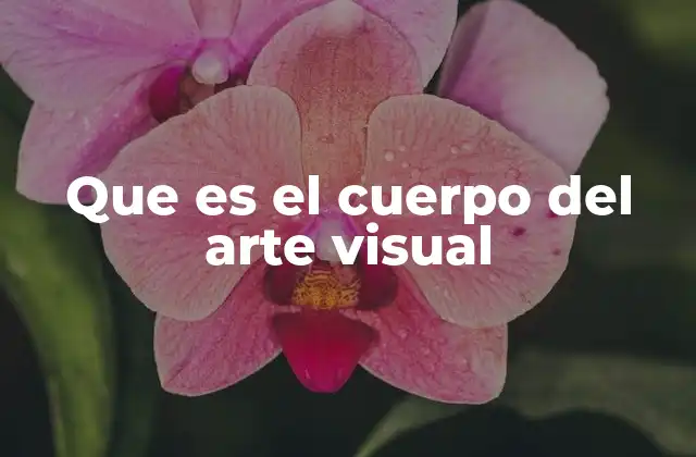 Que es el Cuerpo Del Arte Visual