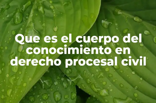 Que es el Cuerpo Del Conocimiento en Derecho Procesal Civil