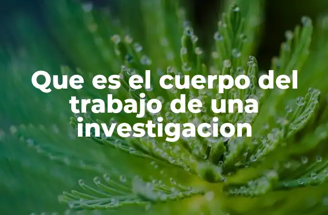 Que es el Cuerpo Del Trabajo de una Investigacion