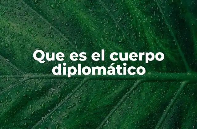 Que es el Cuerpo Diplomático