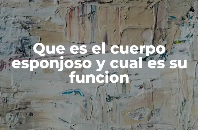 Que es el Cuerpo Esponjoso y Cual es Su Funcion