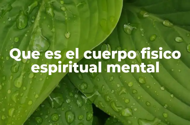 Que es el Cuerpo Fisico Espiritual Mental