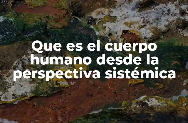 Que es el Cuerpo Humano desde la Perspectiva Sistémica