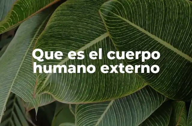Que es el Cuerpo Humano Externo 2 La apariencia física como reflejo de salud y bienestar