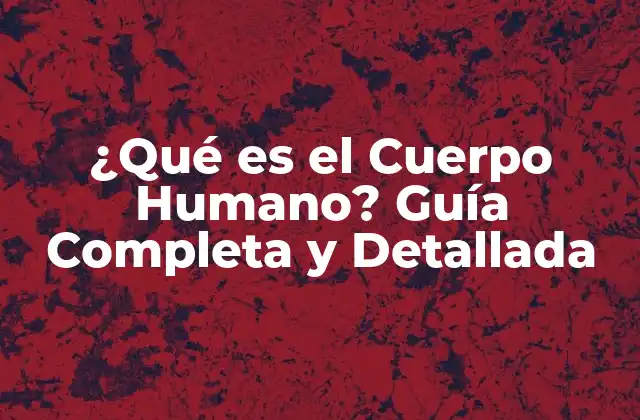 ¿qué es el Cuerpo Humano? Guía Completa y Detallada
