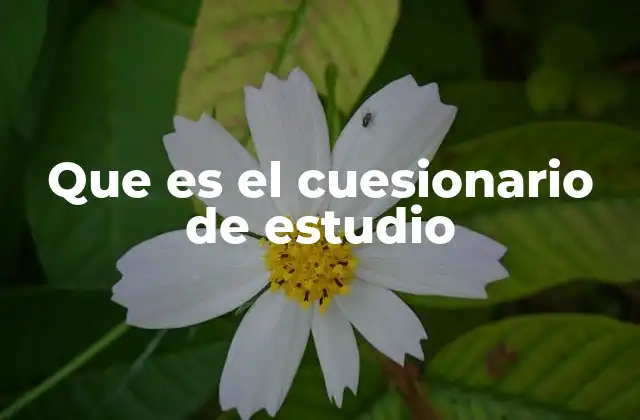 Que es el Cuesionario de Estudio