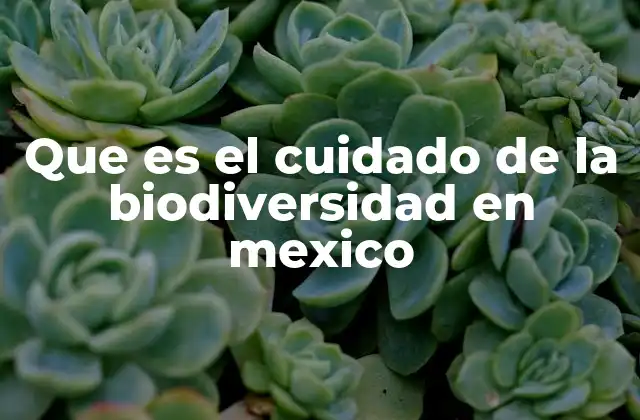 Que es el Cuidado de la Biodiversidad en Mexico