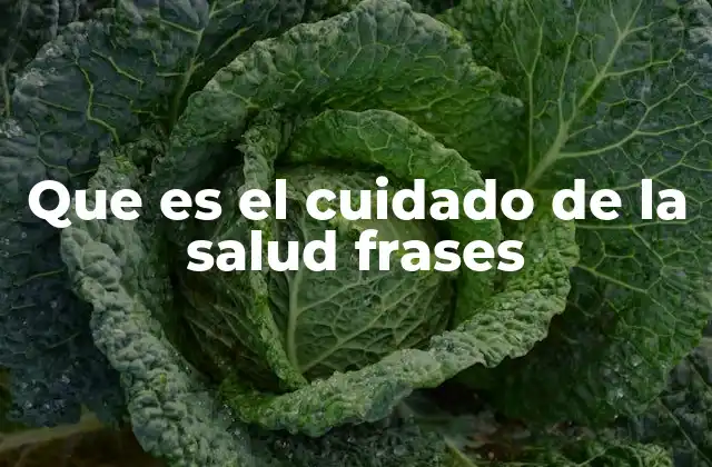 Que es el Cuidado de la Salud Frases