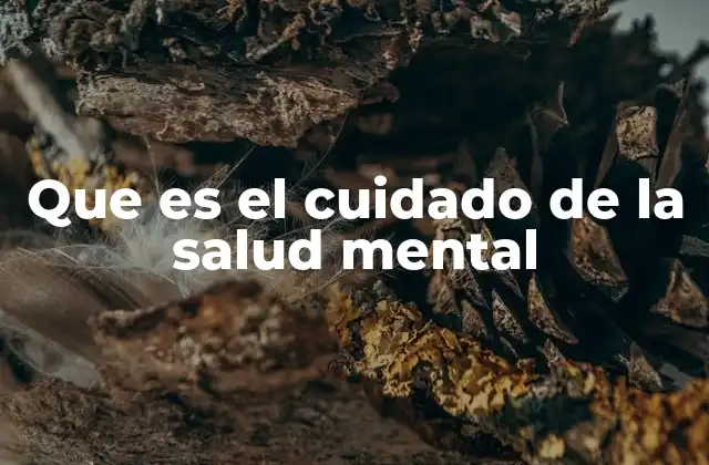 Que es el Cuidado de la Salud Mental