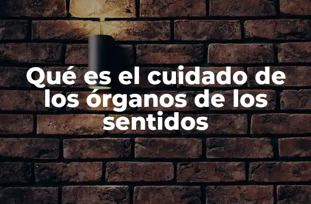 Qué es el Cuidado de los Órganos de los Sentidos 2 La importancia de preservar la funcionalidad sensorial