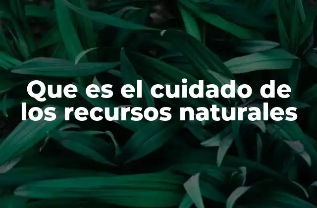 La importancia de preservar lo que la naturaleza nos ofrece