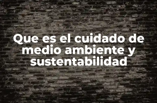 Que es el Cuidado de Medio Ambiente y Sustentabilidad