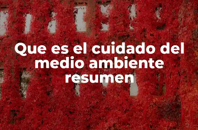 Que es el Cuidado Del Medio Ambiente Resumen