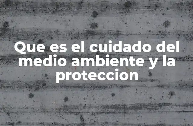 Que es el Cuidado Del Medio Ambiente y la Proteccion 2 La importancia de mantener un equilibrio con la naturaleza
