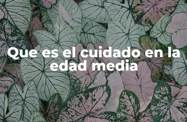 Que es el Cuidado en la Edad Media