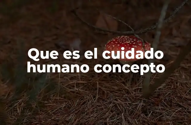 Que es el Cuidado Humano Concepto